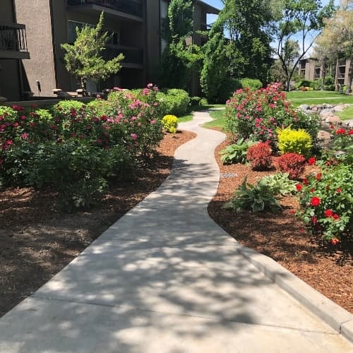 landscape gallery beautiful landscaping